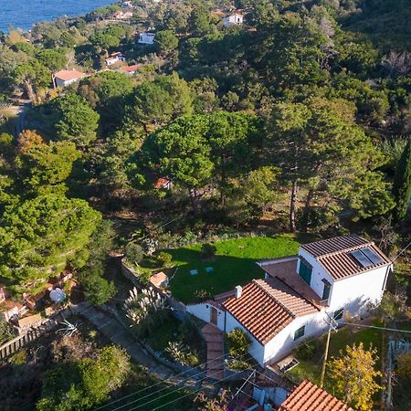 Villa Caterina Quiete E Mare-Goelba Сант-Андреа Экстерьер фото