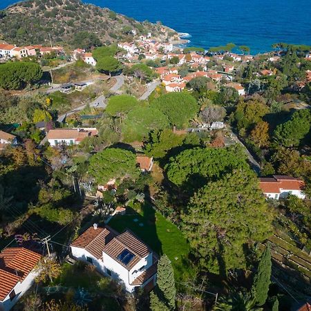 Villa Caterina Quiete E Mare-Goelba Сант-Андреа Экстерьер фото