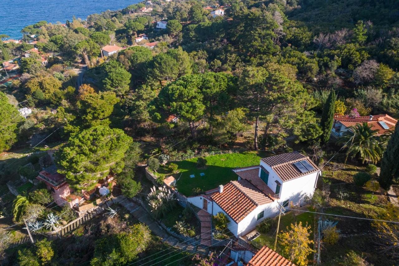 Villa Caterina Quiete E Mare-Goelba Сант-Андреа Экстерьер фото